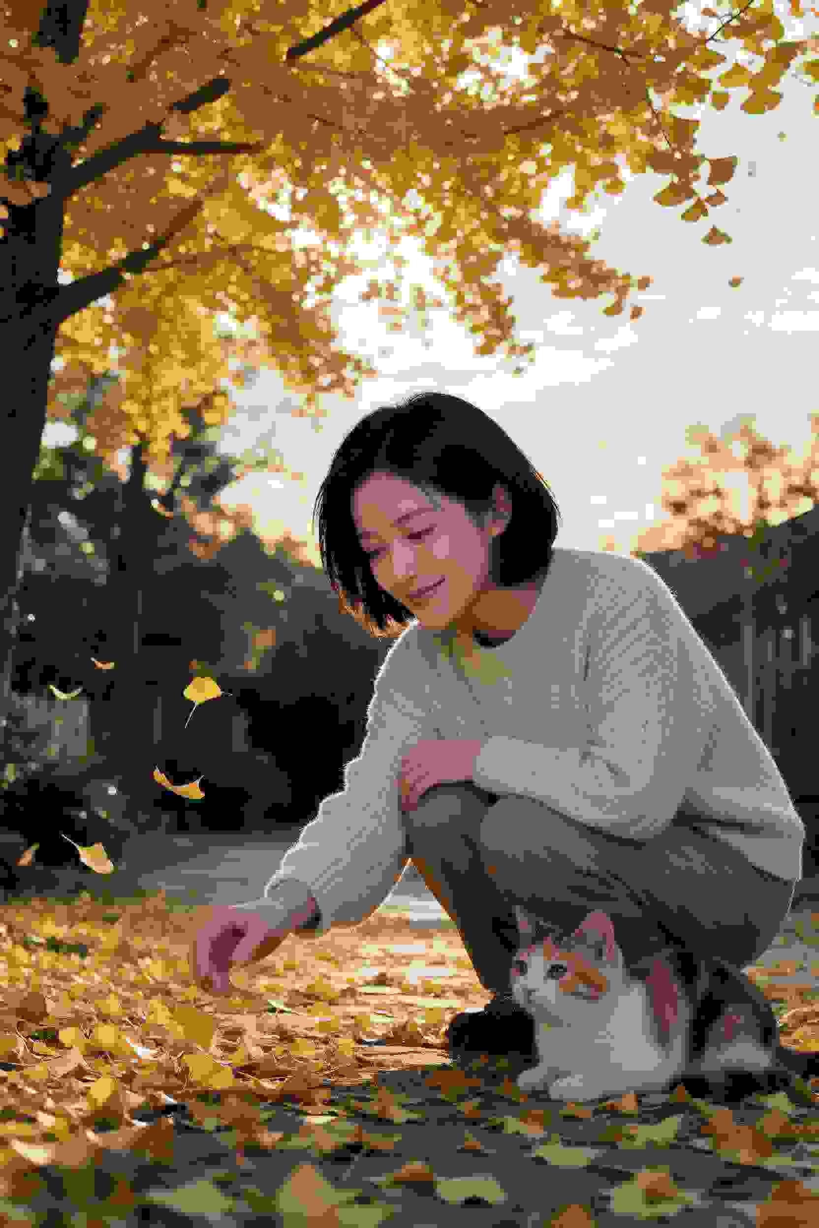 动漫作品